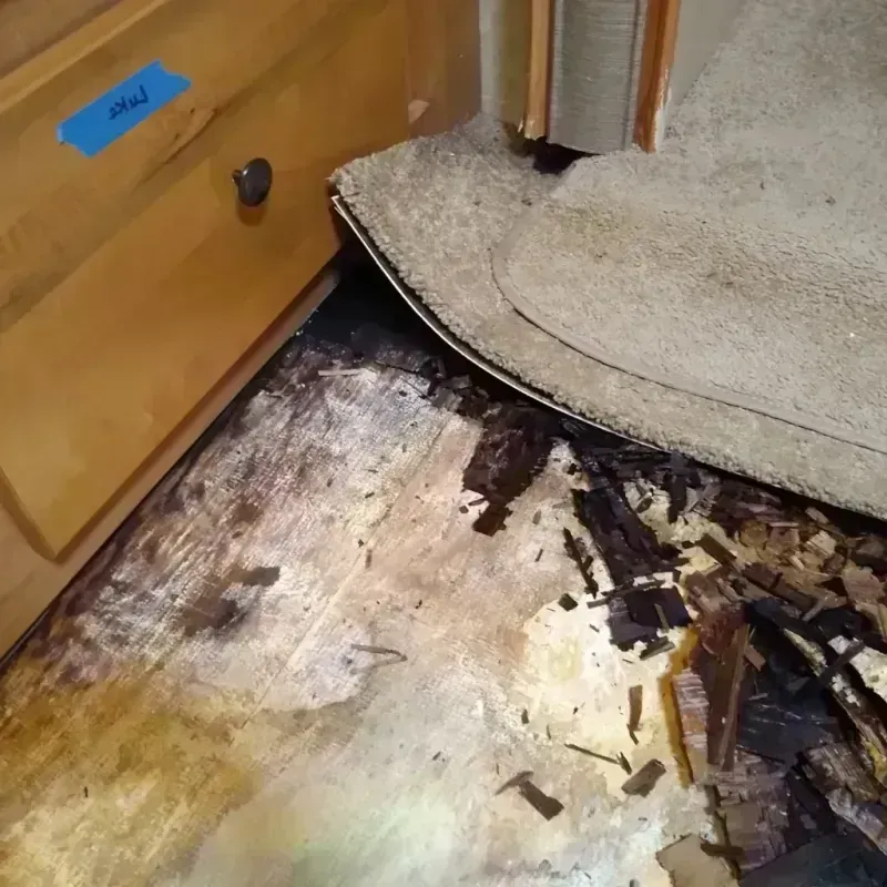 Wood Floor Water Damage in Glenn Dale, MD